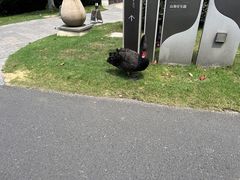 -天目湖水世界