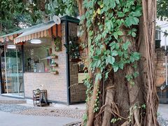 -柴犬高等学院·狗咖·柴犬售卖·宠物训练