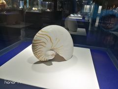 -贝壳王国博物馆