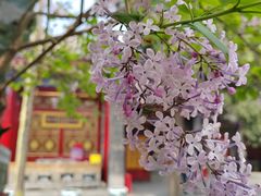 -西安市广仁寺