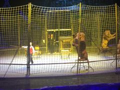 -珠海横琴长隆《卡卡虎奇遇记》