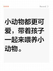 -未来动物城主题公园(正弘城店)