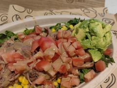 -油梨树 AVOCADO TREE(亮马桥店)