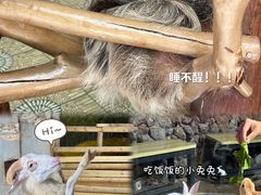 -正佳雨林生态植物园