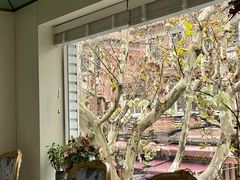 -蝶舍·MAISON PAPILLON