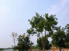 -羊亭河湿地公园