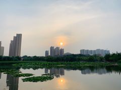 -前关湿地公园
