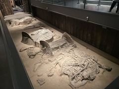 -北京大葆台遗址博物馆