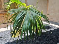 -院子餐厅·大锅菜·老杭帮(桥西直街店)
