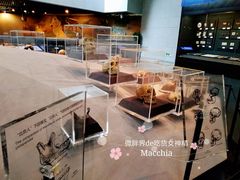 -北京周口店北京人遗址博物馆