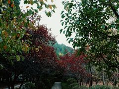 -四门塔风景区