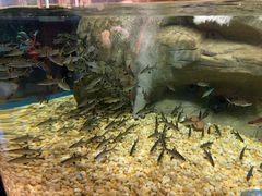 -成都浩海立方海洋公园