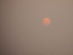 -吴淞炮台湾湿地森林公园烧烤区