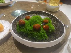 -鹿园 MOOSE(长宁店)