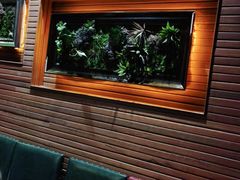 -前海沿·青岛菜(大拇指广场石老人店)