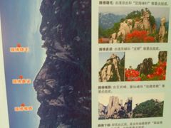 -九华山聚龙大酒店