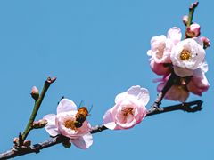 -荔枝公园(福田区)