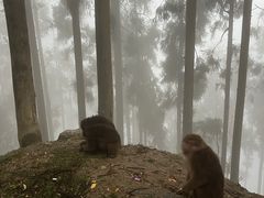 -太阳湾风景区