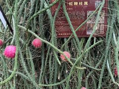 -南通洲际绿博园