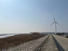 -上海海湾国家森林公园