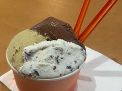白薄荷巧克力-Dip in Gelato(富民路店)