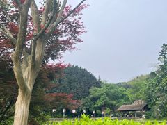 -常德桃花源景区