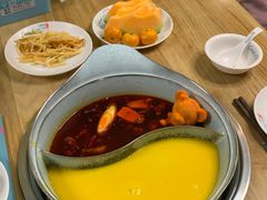 -青瓷火锅料理(西单大悦城店)