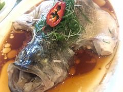 -至潮餐厅精致粤菜·活鲈鱼·走地鸡(珠江新城店)