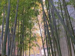 -穹六人间 people 6(岳阳路店)