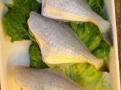 耗儿鱼-懂食汇自助火锅