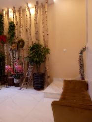 -新蝶变皮肤管理中心