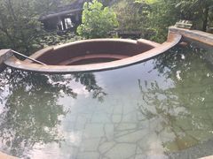 -深业半汤御泉庄温泉