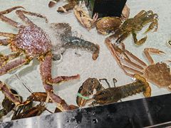 -百伦百货(简阳店)