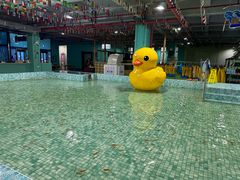 -顺德南宏海立方海洋公园