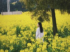 -三圣花乡旅游区