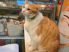 -小时光咖啡馆(北锣鼓巷店)