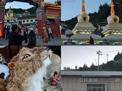 -四川郎木寺镇