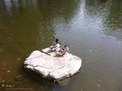 -玲珑塔公园