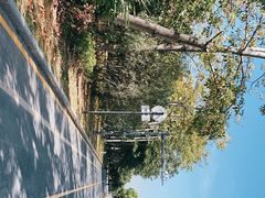 -福田红树林生态公园