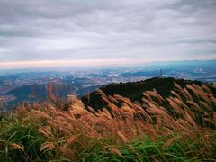 -梧桐山风景名胜区