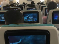 -班达拉奈克国际机场