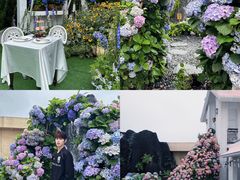 -Blue Concept Cafe&Farm·關於藍