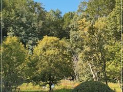 -上海佘山国家森林公园天马山园