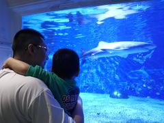 -成都浩海立方海洋公园