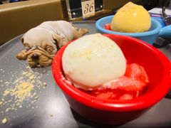 冰淇淋沙皮狗-赫帝拉航空主题餐厅(南宁店)