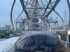 -海合安武汉极地海洋公园