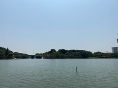 -华侨城湿地公园