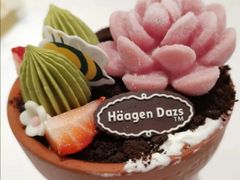 雪芙肉肉-哈根达斯(世界城店)