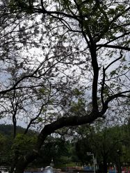 -番禺儿童公园