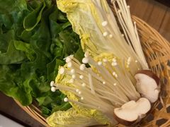 -同仁四季椰子鸡(无锡滨湖万象汇店)